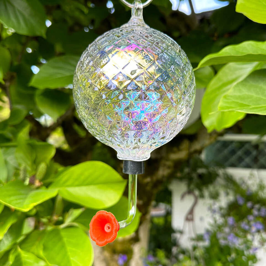Hummingbird Feeders Glass Eye Studio