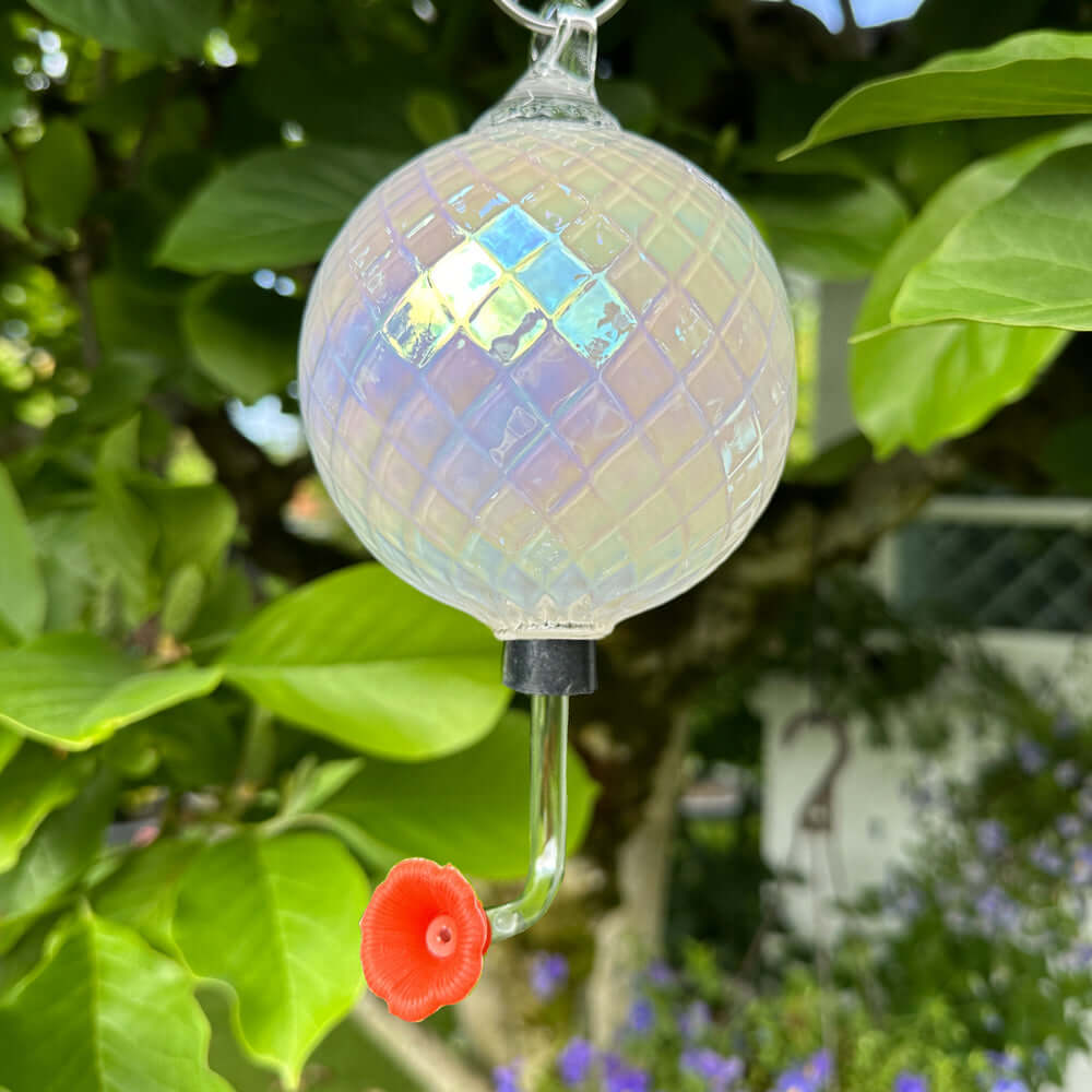 Glass Eye Studio