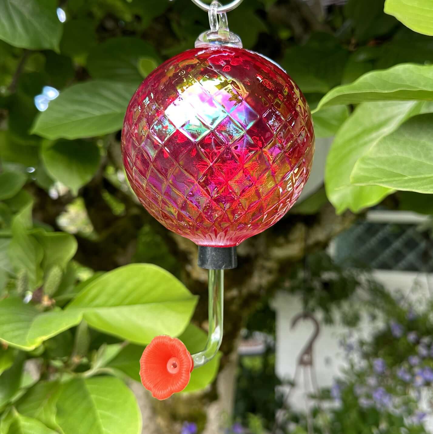 Glass Eye Studio