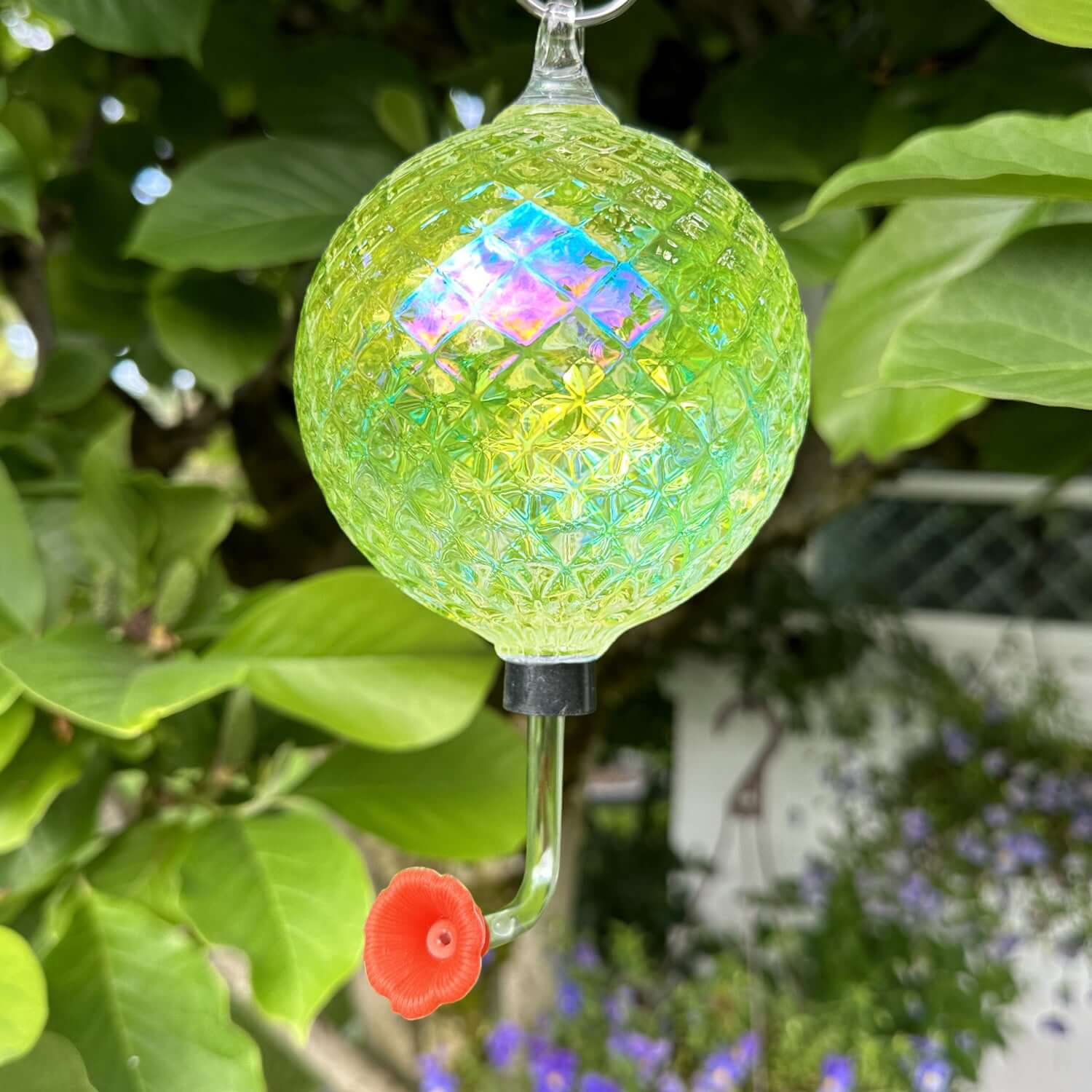 HOME & GARDEN