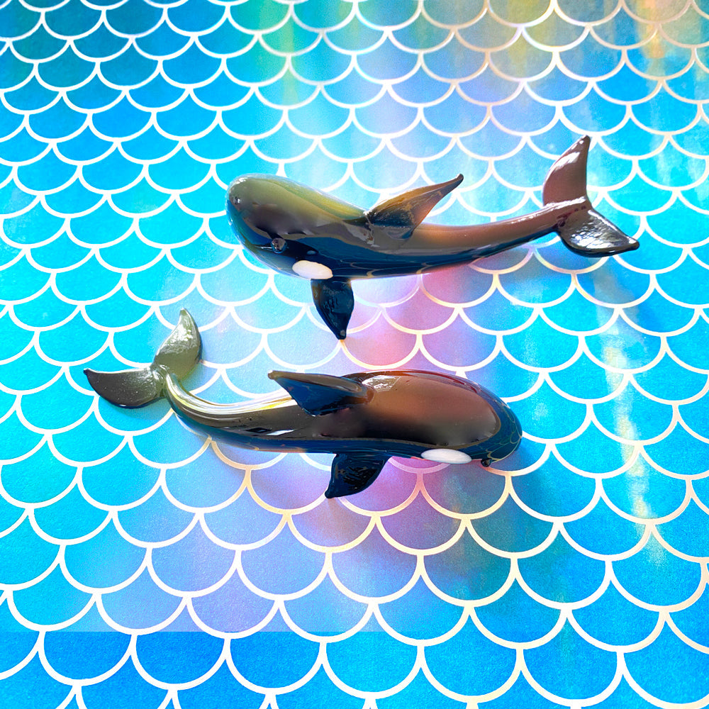 Orcas: 2pc