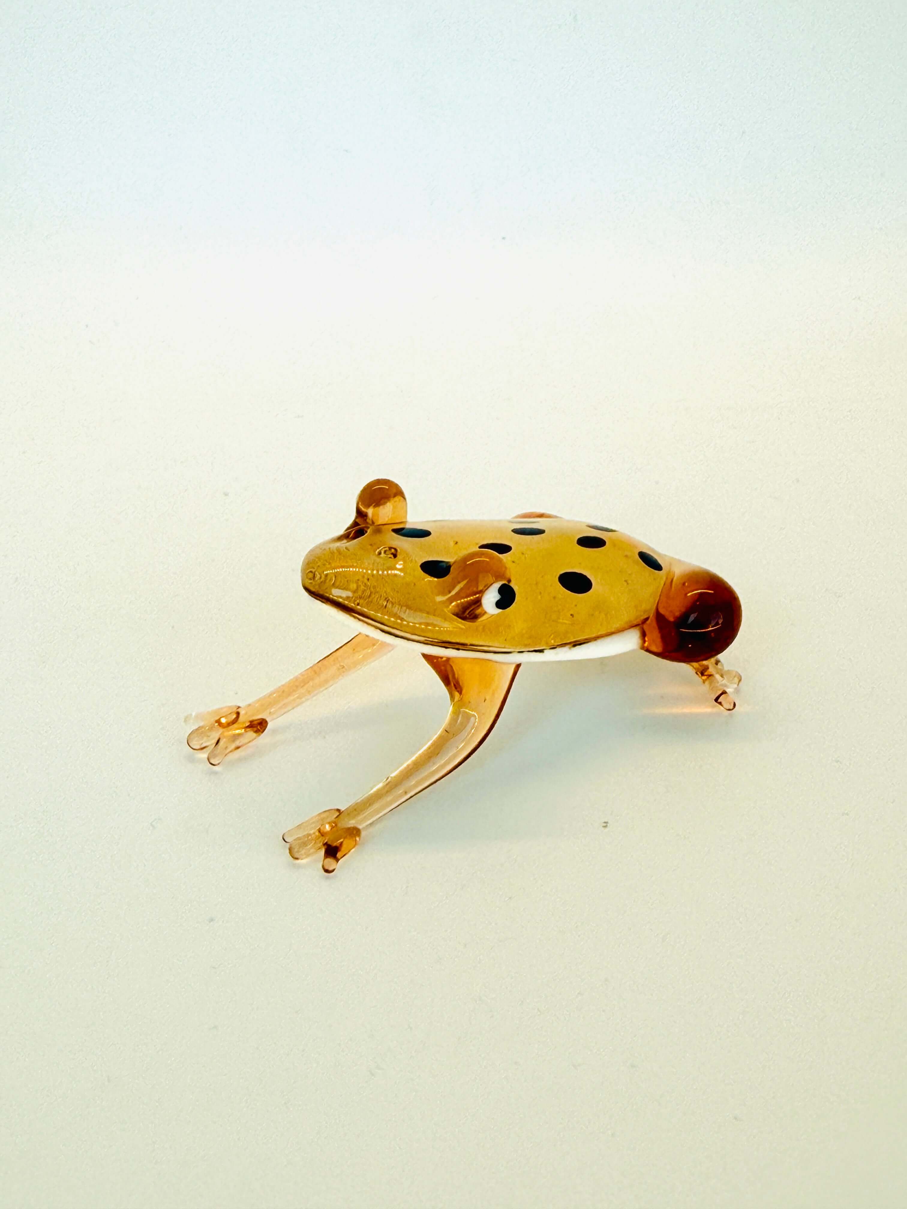 ARCHIVE SILVER FROG - BROWN