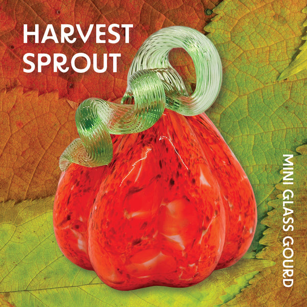 Harvest Sprout Mini Gourd