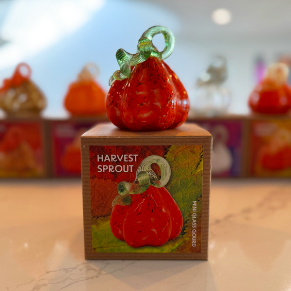 Harvest Sprout Mini Gourd